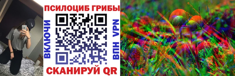 Галлюциногенные грибы мицелий  MEGA ссылка  Шилка 